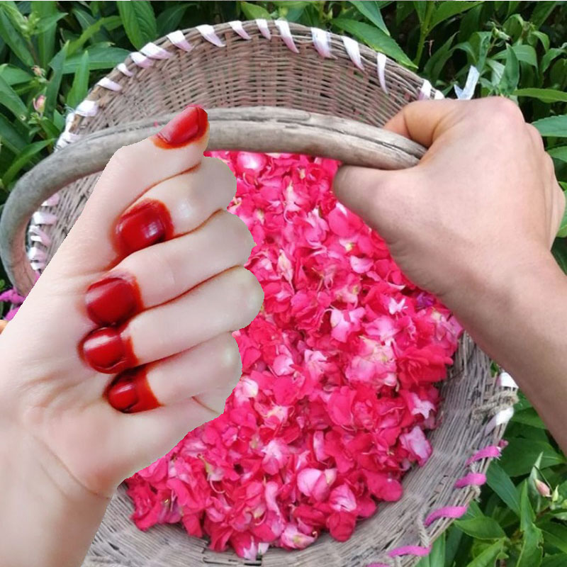 40 г порошок для крашения ногт – обзор и цена Nail Art For Men